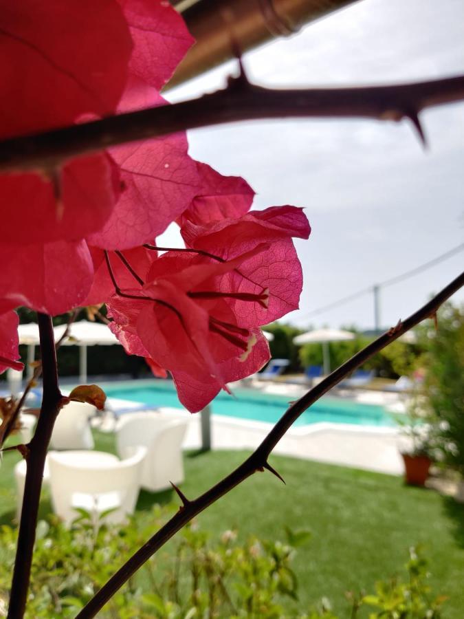 Natur Hotel Tanca Cardedu Zewnętrze zdjęcie
